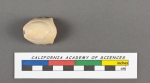Biloculina aculeata d'Orbigny in Deshayes, 1830