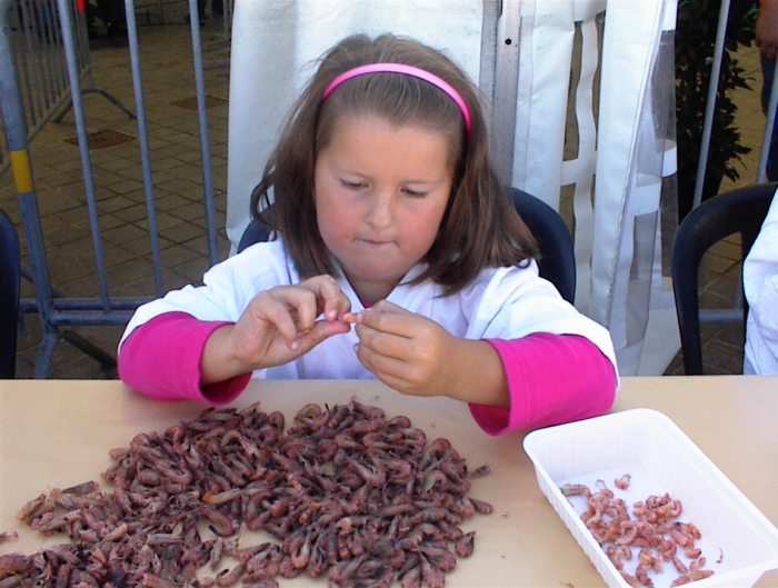Shrimp peeling - Décorticage de crevettes - Garnalen pellen