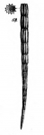 Nodosaria stiliformis Schwager, 1866