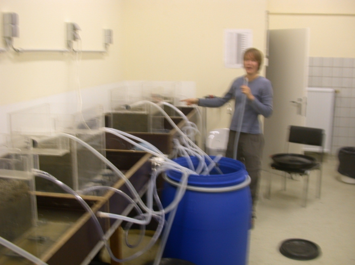 Experimental set-up in lab Experimental set-up in lab