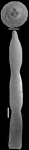Cribroconica texana (Cushman, 1936) IDENTIFIED SPECIMEN