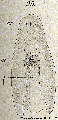GIF file