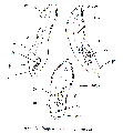 GIF file
