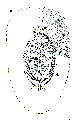 GIF file