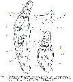 GIF file