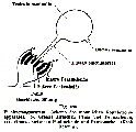 GIF file