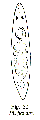 GIF file