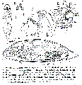 GIF file