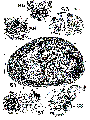 GIF file