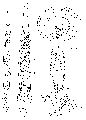 GIF file