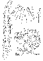 GIF file