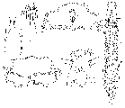 GIF file
