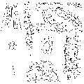 GIF file