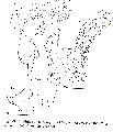 GIF file