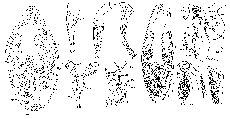 GIF file