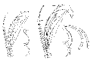 GIF file