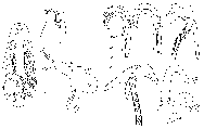 GIF file
