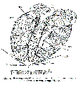 GIF file