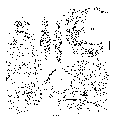 GIF file