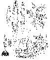 GIF file