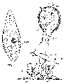 GIF file