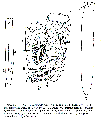 GIF file