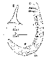 GIF file