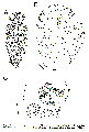 GIF file