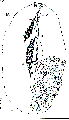 GIF file