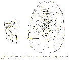 GIF file