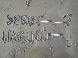 sprot en haring, author: Loonens, Marie-Ange