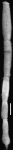 Ellipsonodosaria exilis Cushman, 1936. Holotype