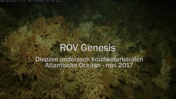 ROV Genesis - duik boven koudwaterkoraalriffen