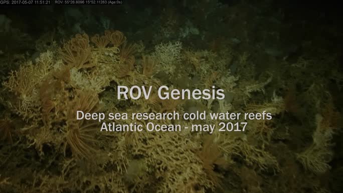ROV Genesis - diving coldwater coral reefs