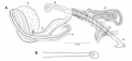 Limnodrilus hoffmeisteri (neotype; penial sheath)