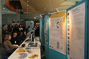 2007