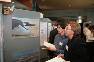 2007