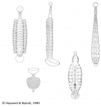 Hirudinea (leeches)