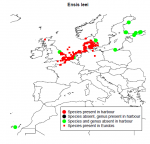 Invasive marine species occurring in European marine harbours