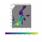 Neural network modelling of Baltic zooplankton abundances 