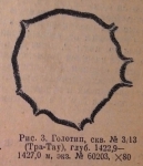 Parathurammina dagmarae Suleymanov, 1945