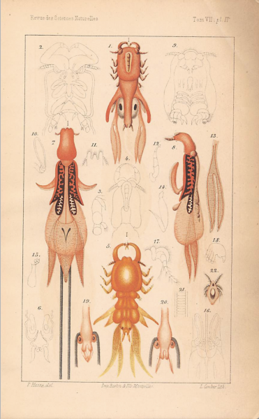 Hesse, M. 1878 Hesse, M. 1878