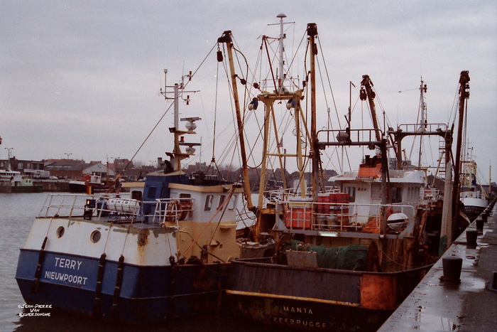 Z 38 Manta n 57 Terry