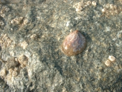 20020303_excursie