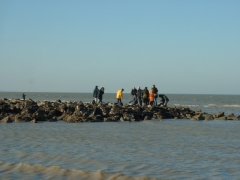 SWG excursies