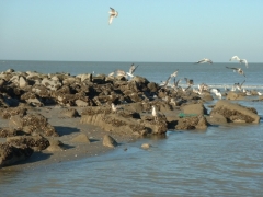 20020202_excursie