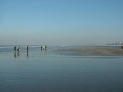 SWG excursies