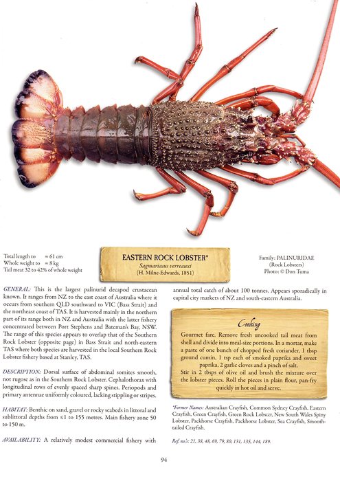 Eastern Rock Lobster