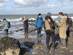 Blankenberge 18 januari 2020