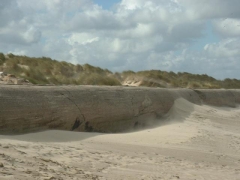 SWG excursies